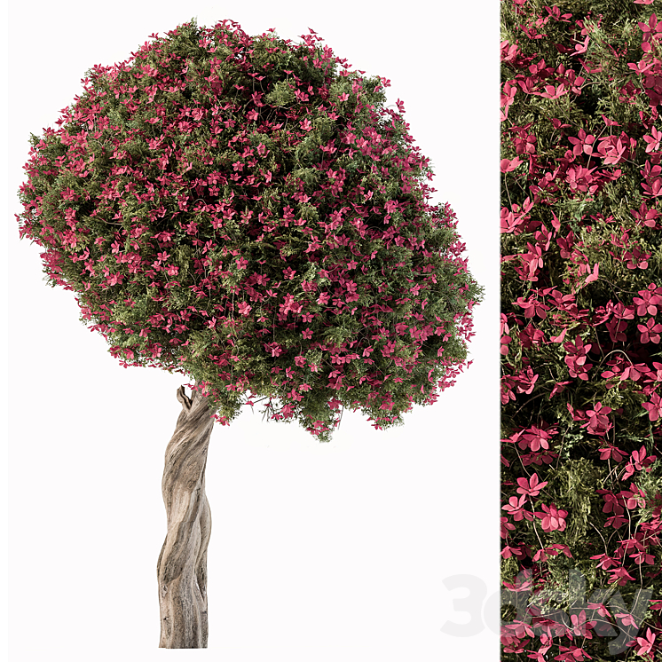 Flower Tree – Set 104 3D Model