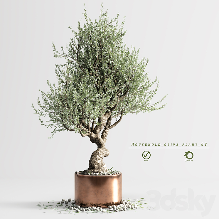 household olive plant 02 3DS Max Model - thumbnail 2
