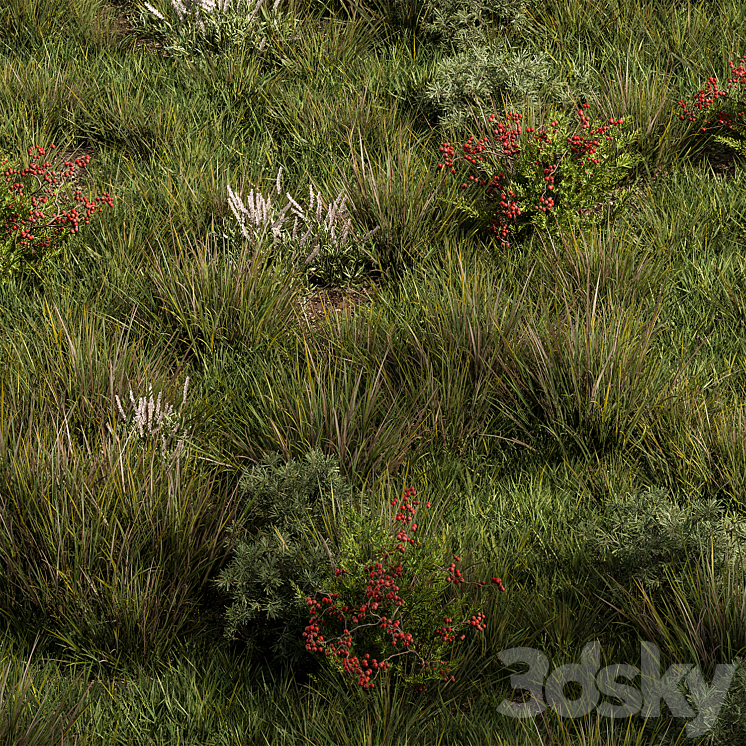 Nature Meadow – Grass Set 17 3D Model