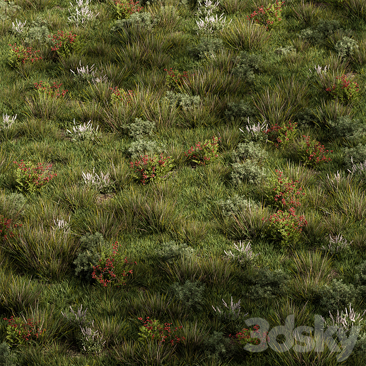 Nature Meadow – Grass Set 17 3DS Max - thumbnail 2