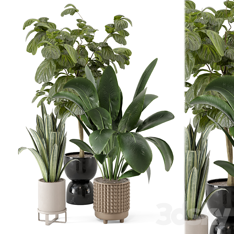 Indoor Plants in Ferm Living Bau Pot Large – Set 1044 3DS Max - thumbnail 1