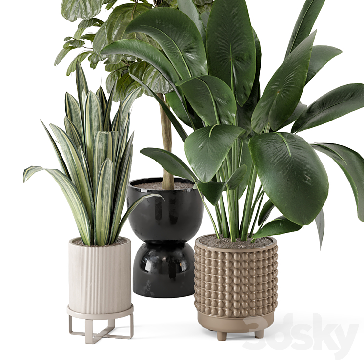 Indoor Plants in Ferm Living Bau Pot Large – Set 1044 3DS Max - thumbnail 2
