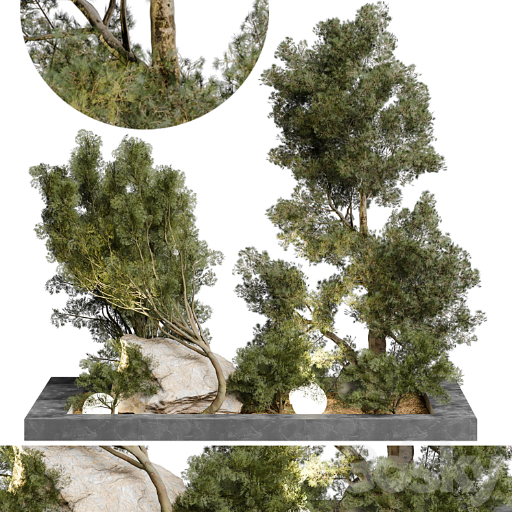 Outdoor Plant 65 3D Model