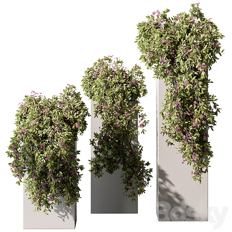 Hanging Plant in Box – Outdoor Plants 454 3D Model