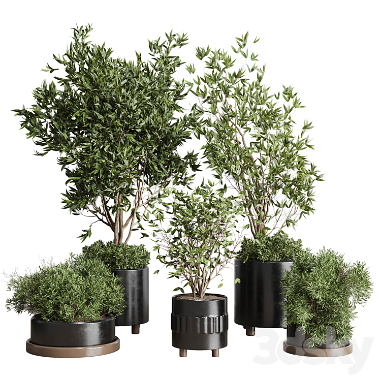 Indoor plant set 298 concrete vase plant tree bush pot 3DS Max Model - thumbnail 1