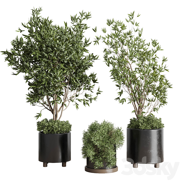Indoor plant set 298 concrete vase plant tree bush pot 3DS Max Model - thumbnail 2