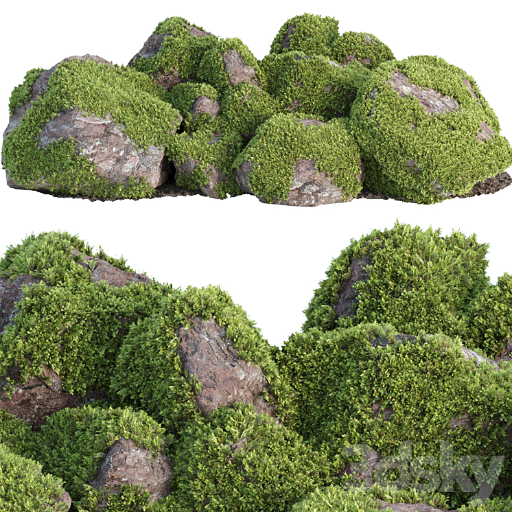 Mossy rocks and plants 3D model