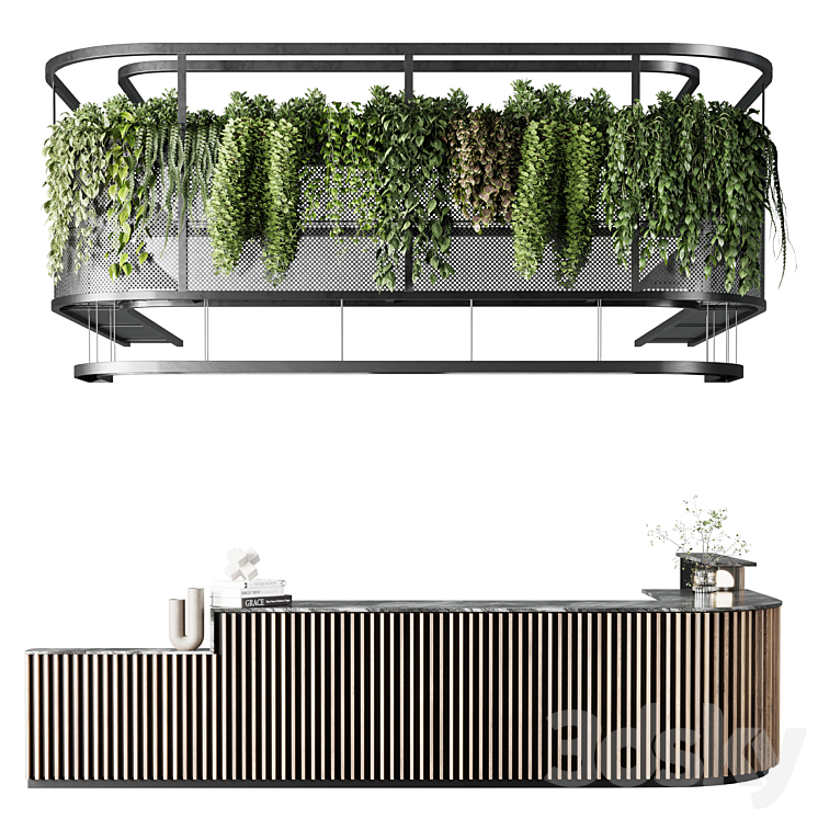 Coffee shop reception Restaurant counter by hanging plant - 03 3D Model Free