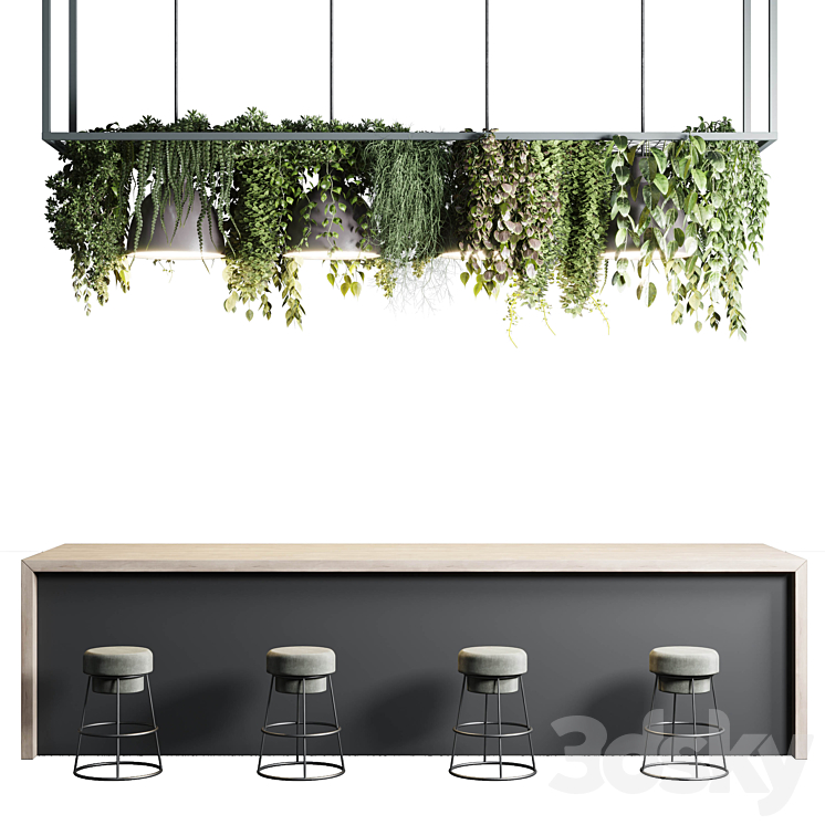 Coffee shop reception Restaurant counter by hanging plant - 04 3D Model Free