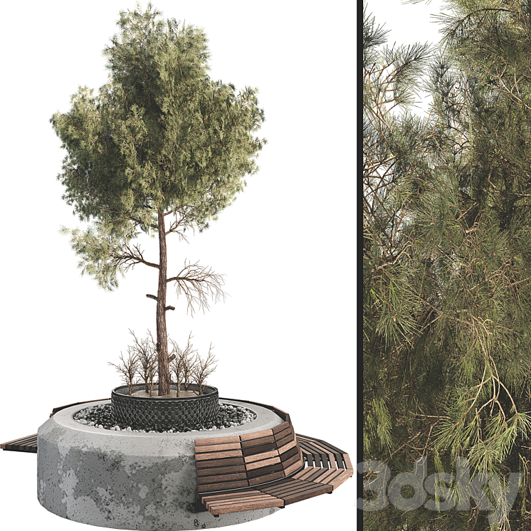 Outdoor Plant Set 06 3D Model