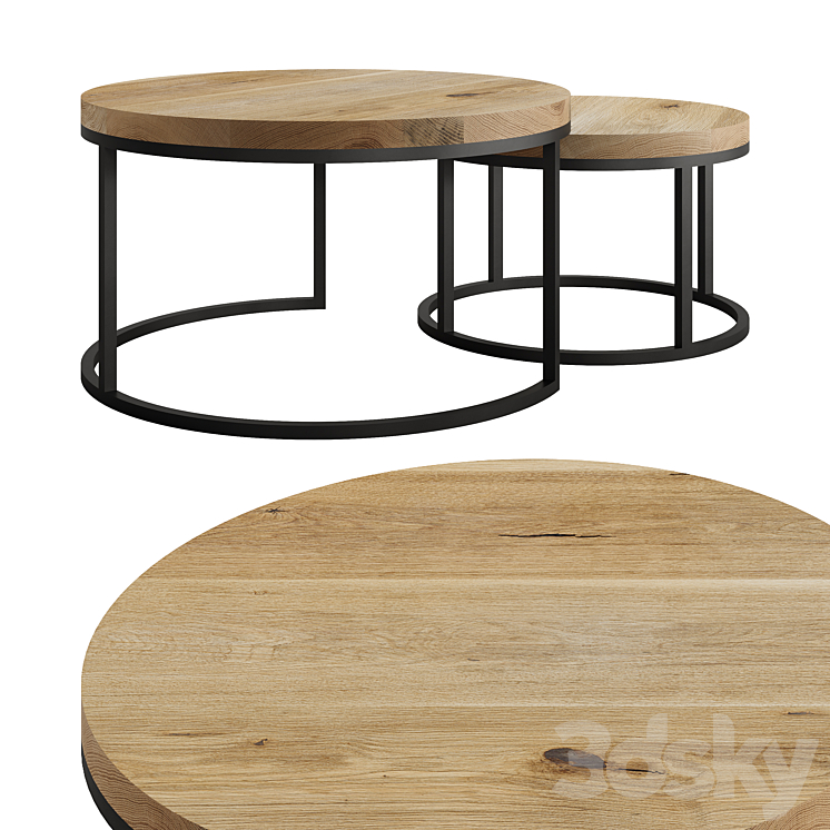 Oval Coffee Table by mLOFT 3D Model