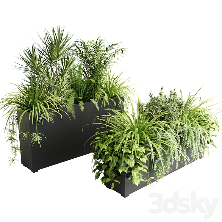 Indoor plants in outdoor boxes 3DS Max - thumbnail 1