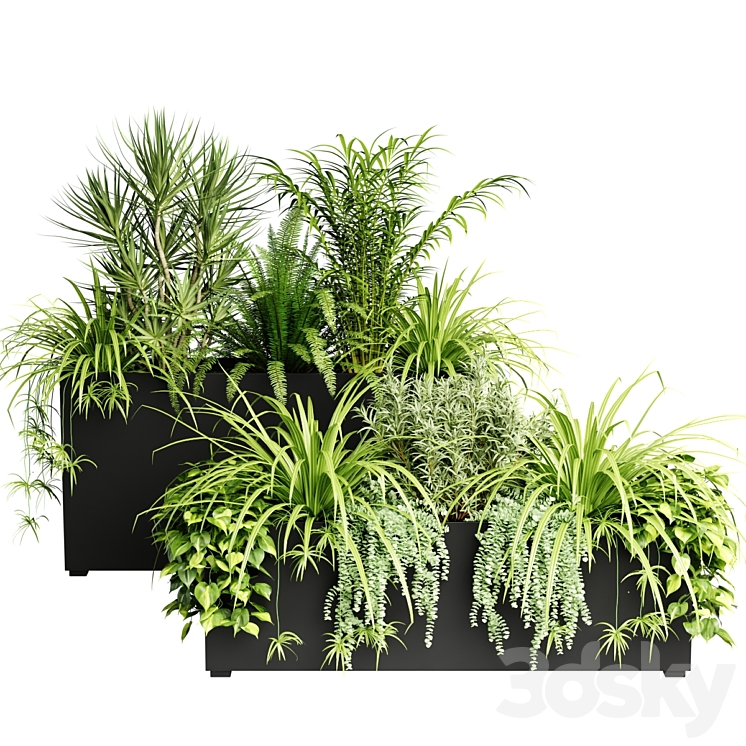 Indoor plants in outdoor boxes 3DS Max - thumbnail 2