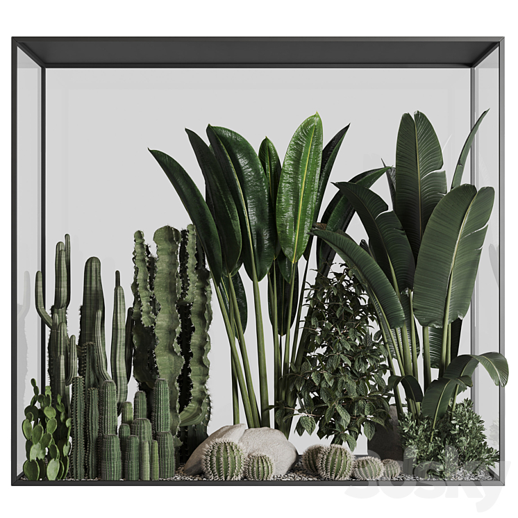 Plants behind glass 02 3DS Max - thumbnail 2