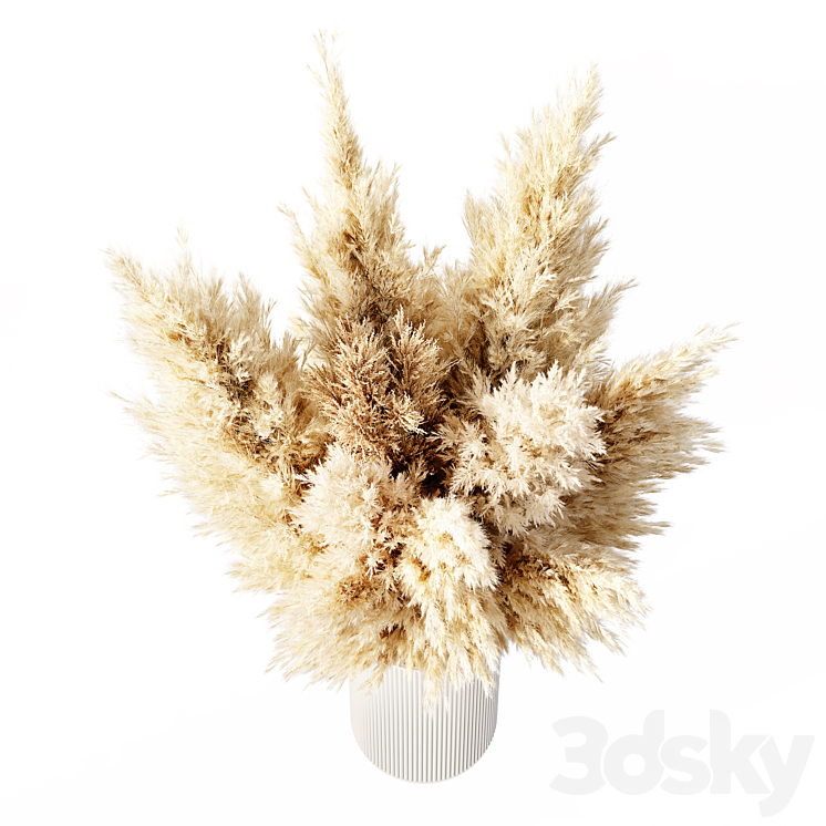 Dried Pampas Grass 02 3DS Max - thumbnail 2