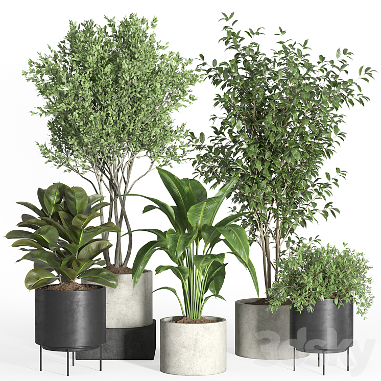 indoor plant set 35-concrete and metal pot 3DS Max Model - thumbnail 1