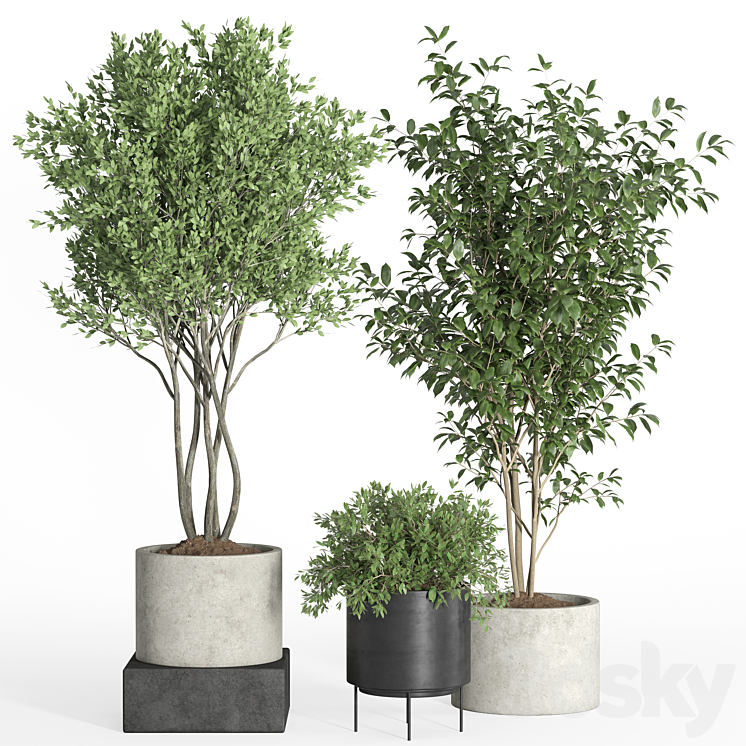 indoor plant set 35-concrete and metal pot 3DS Max Model - thumbnail 2