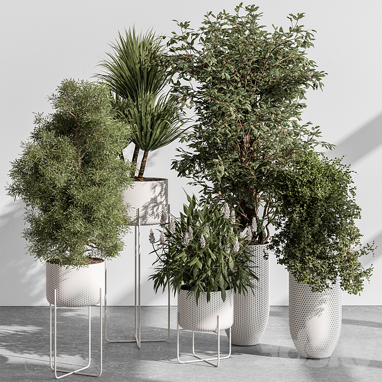 indoor Plant 431 – Tree and Bush 3DS Max - thumbnail 1