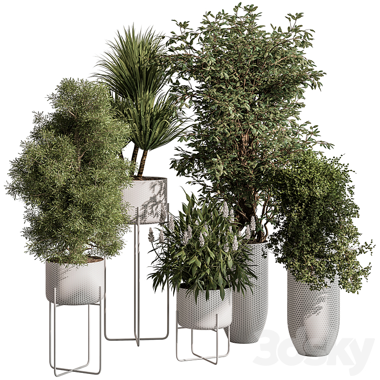 indoor Plant 431 – Tree and Bush 3DS Max Model - thumbnail 2