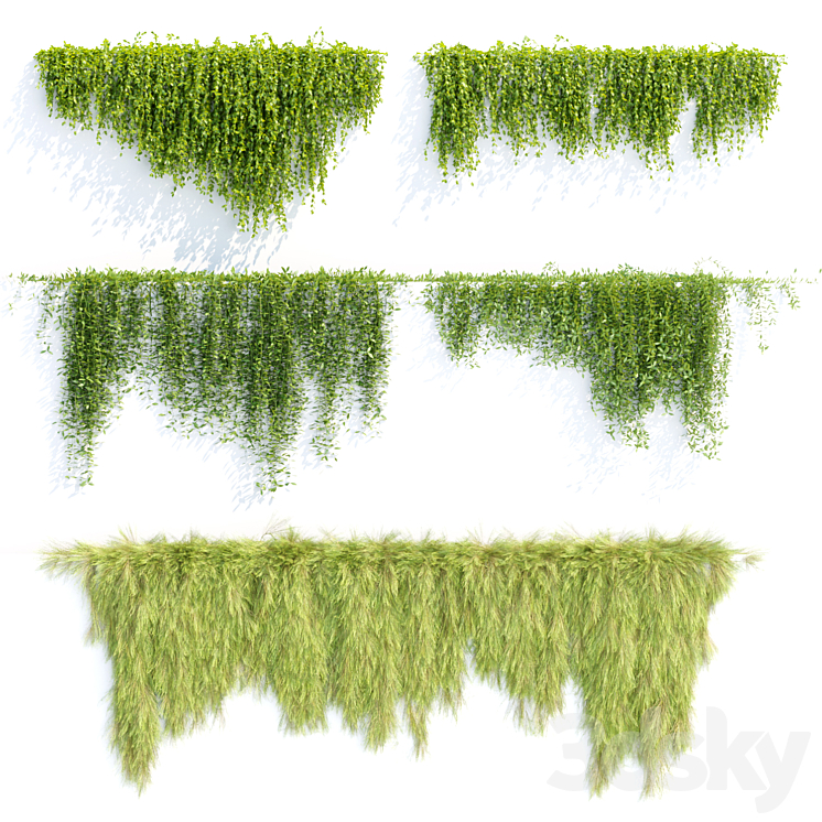 Creeper plants for wall collection vol 144 3DS Max Model - thumbnail 1
