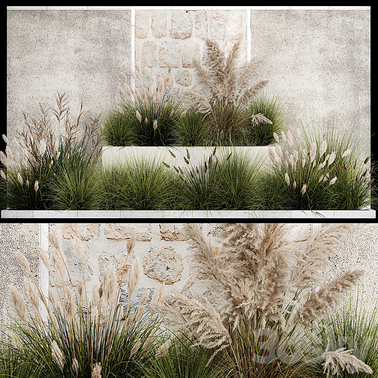 Collection of flowerbed plants and bushes with grass for landscaping pampas grass cortaderia and white reeds. 1126. 3D Model