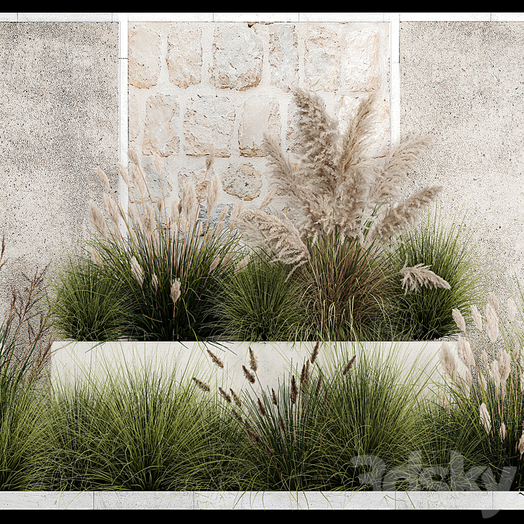 Collection of flowerbed plants and bushes with grass for landscaping pampas grass cortaderia and white reeds. 1126. 3DS Max Model - thumbnail 2