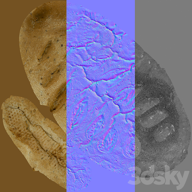 whole-grain-bread-with-seeds-food-and-drinks-3d-model