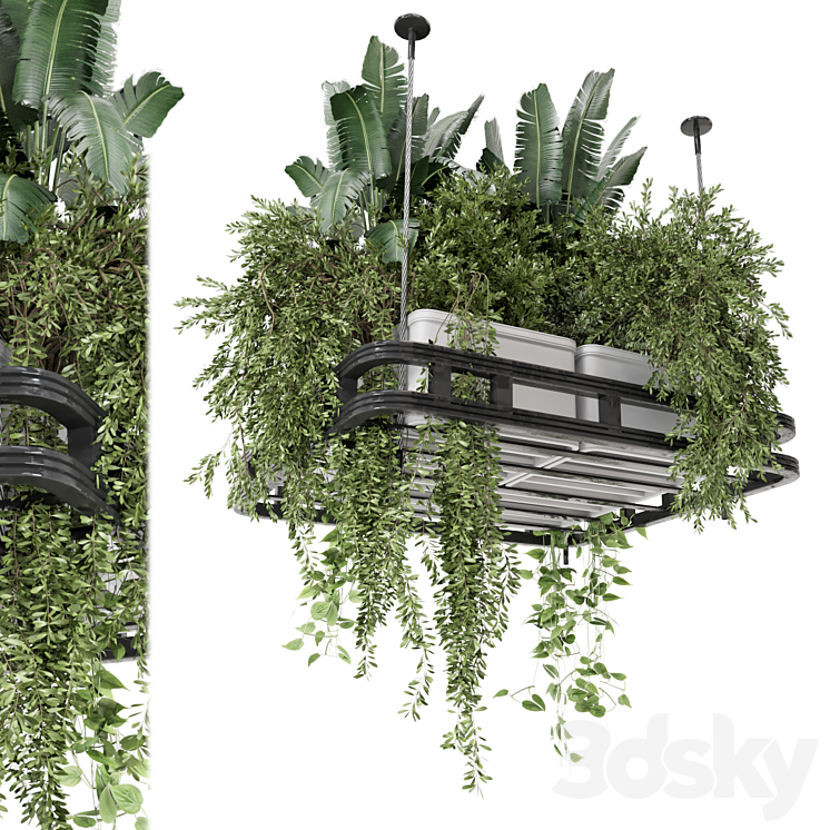 Hanging Plants Set in Concrete Pot – Set 1113 3DS Max - thumbnail 1