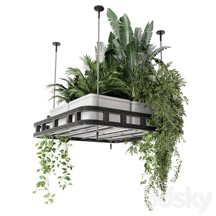 Hanging Plants Set in Concrete Pot – Set 1113 3DS Max - thumbnail 2