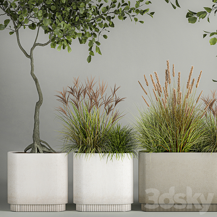A set of plants with trees for the street and interior a flowerpot with bushes potted grass. 1124. 3DS Max - thumbnail 2