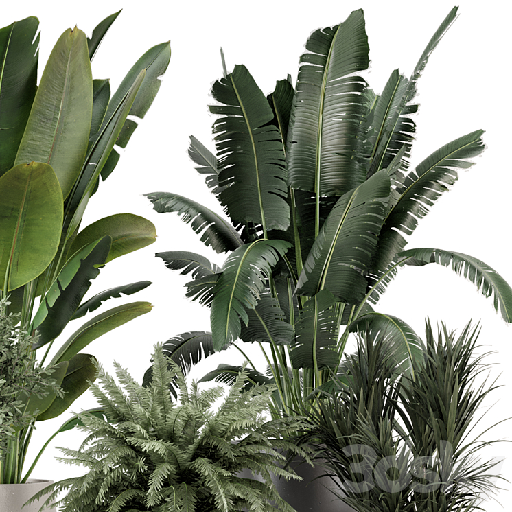 Indoor Plants in rusty Concrete Pot - Set 1167 3D Model
