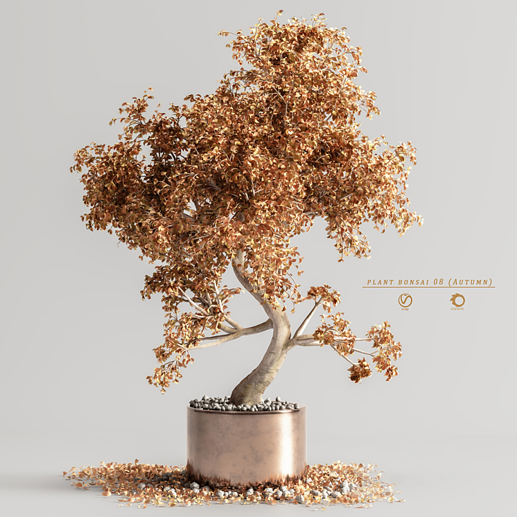 plant bonsai 08 (Autumn) 3DS Max Model - thumbnail 2