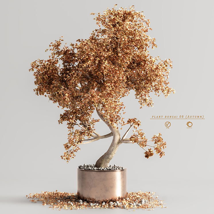 plant bonsai 08 (Autumn) 3D Model