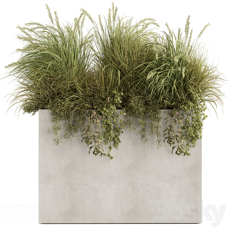 Plant Box – Outdoor Plants 480 3D Model