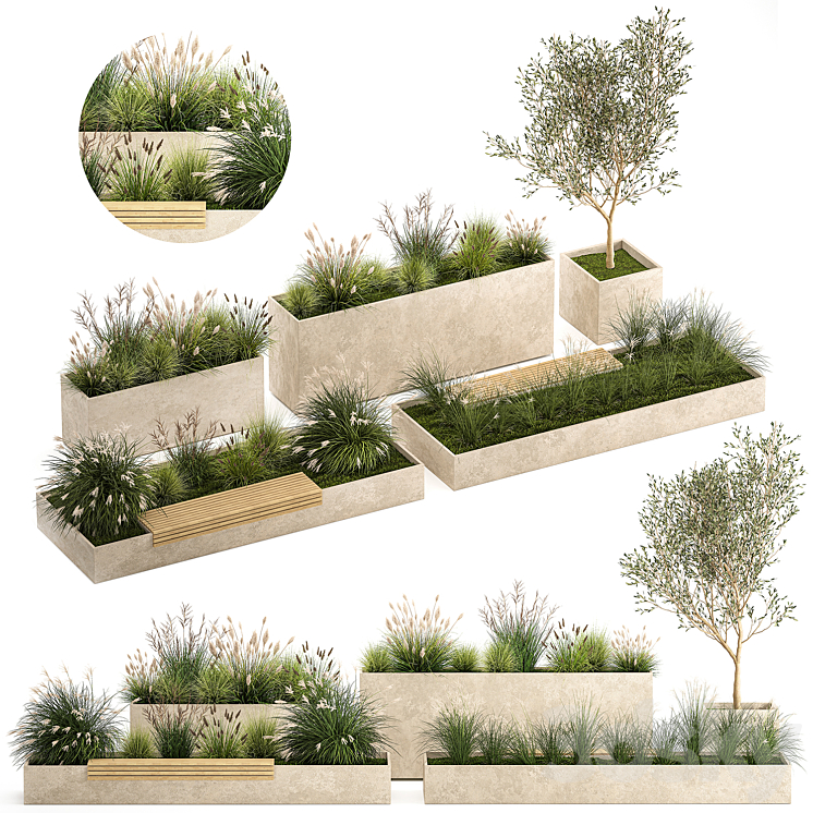 Collection of plants for the urban environment with a flower bed a bench and concrete outdoor flowerpots bushes and grass Miscanthus olive tree garden. 1141. 3D Model