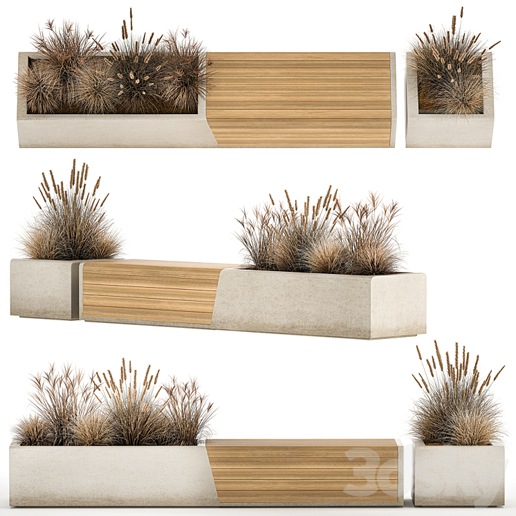Bench flowerbed for the urban environment in a concrete flowerpot with bushes of reeds and dried flowers dry grass. 1142. 3D Model