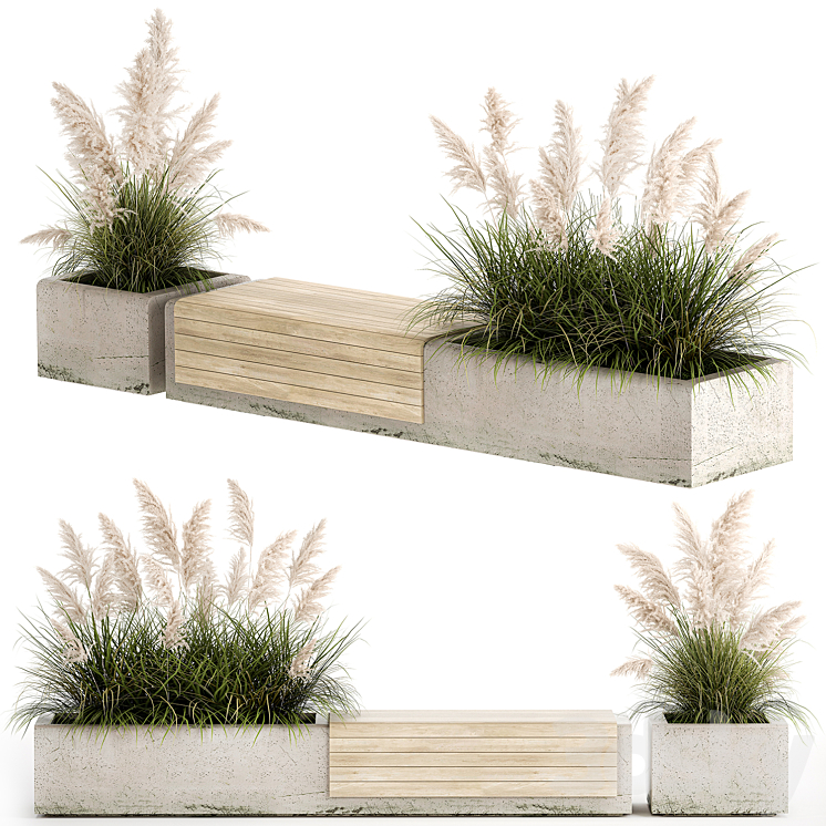 Bench flowerbed for the urban environment in a concrete flowerpot with bushes of reeds and pampas grass Cortaderia. 1144. 3D Model