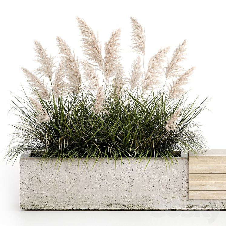 Bench flowerbed for the urban environment in a concrete flowerpot with bushes of reeds and pampas grass Cortaderia. 1144. 3D Model
