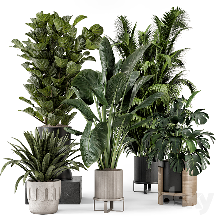 Indoor Plants in Ferm Living Bau Pot Large – Set 1188 3DS Max Model - thumbnail 1