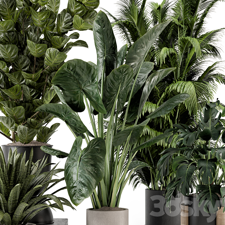 Indoor Plants in Ferm Living Bau Pot Large – Set 1188 3DS Max Model - thumbnail 2