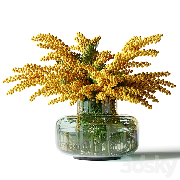 Mimosa in a low glass vase 3D Model