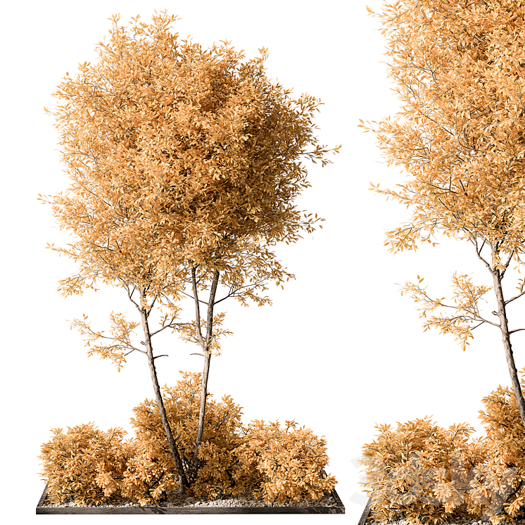 Garden Plants – Outdoor Plants 476 3D Model