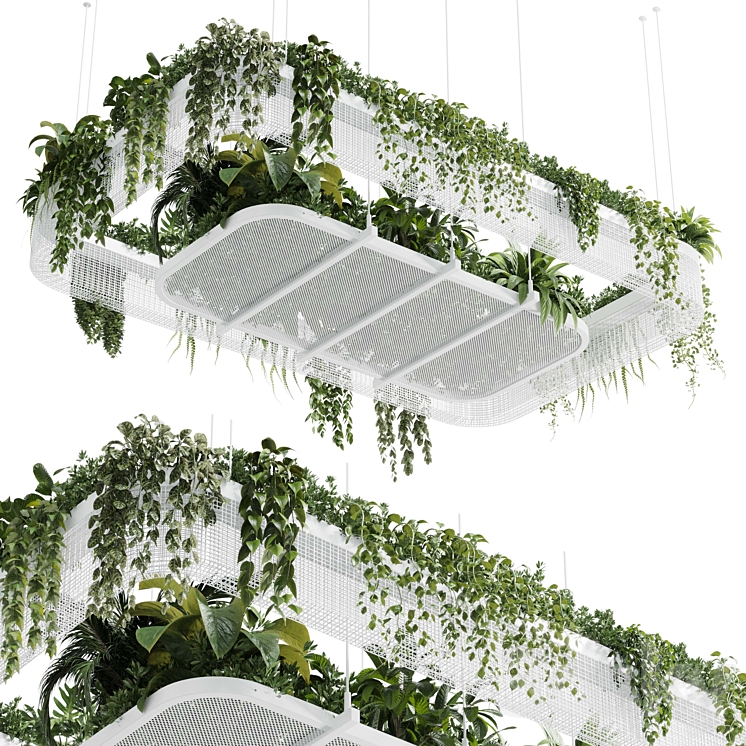 Hanging plants – indoor plant 323 corona 3DS Max Model - thumbnail 1