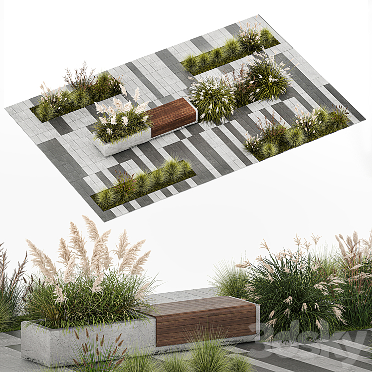 Flower bed with feather grass bushes Miscanthus Cortaderia and white pampas grass bench and bench paving slabs. 1147. 3D Model