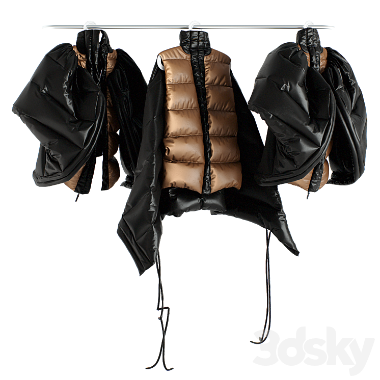Down jacket on a hanger Moncler Elina Clothes 3D model