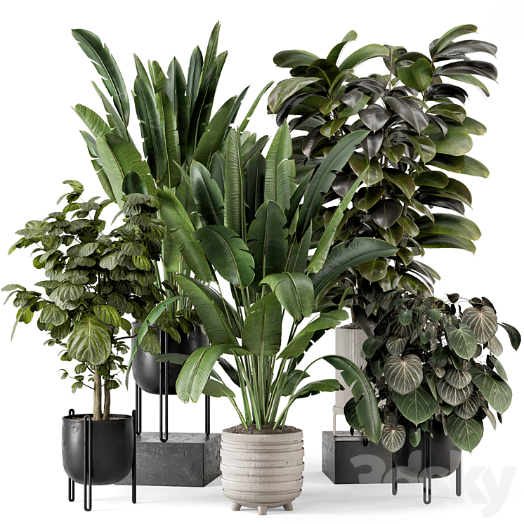 Indoor Plants in Ferm Living Bau Pot Large – Set 1208 3D Model