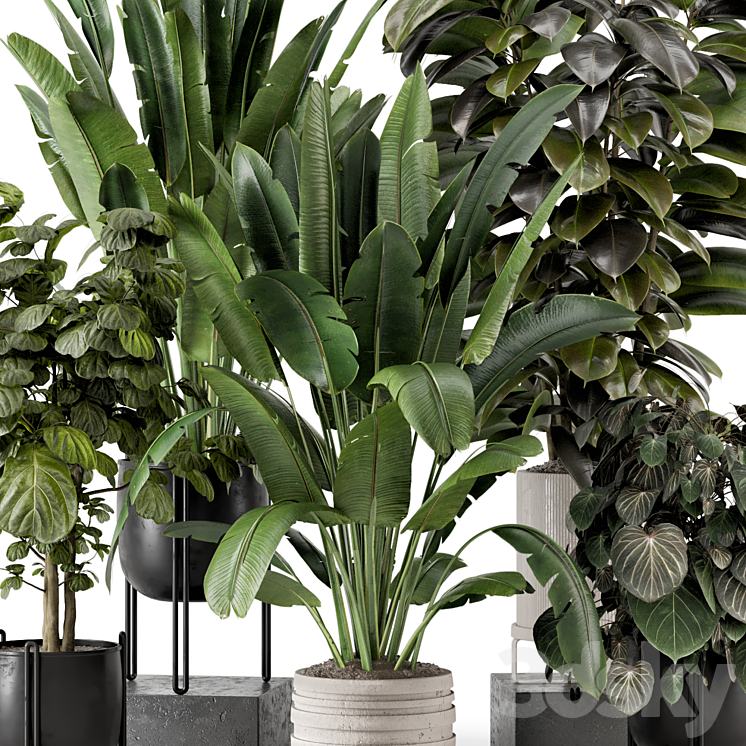 Indoor Plants in Ferm Living Bau Pot Large - Set 1208 3D Model Free