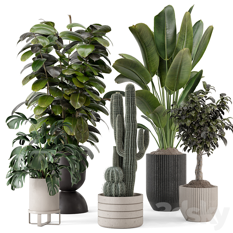 Indoor Plants in Ferm Living Bau Pot Large – Set 1220 3D Model