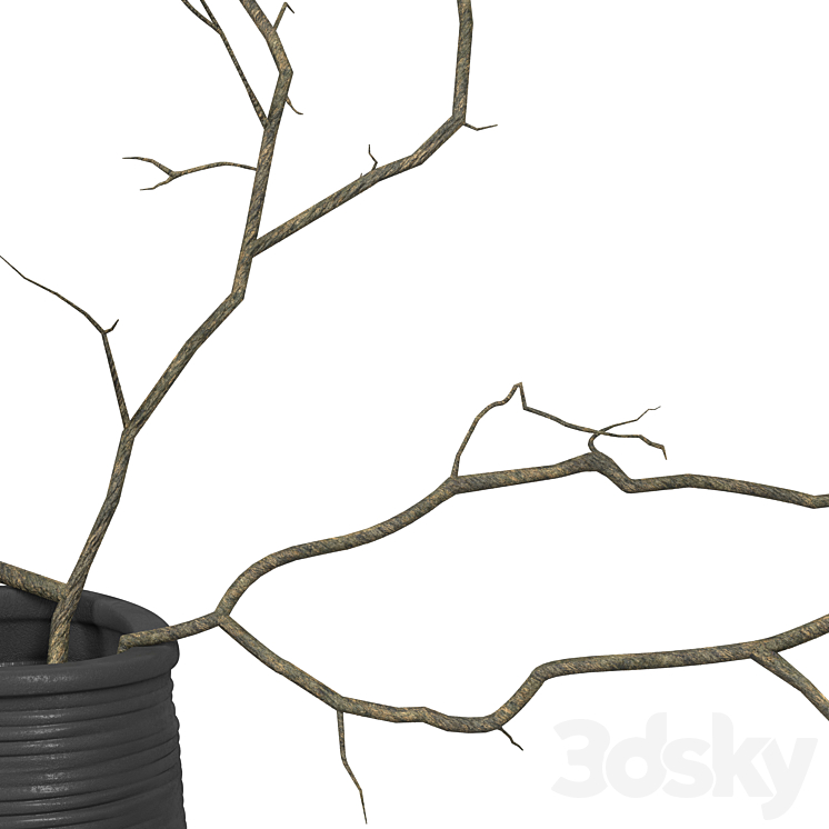 Branches in a vase 3D Model Free