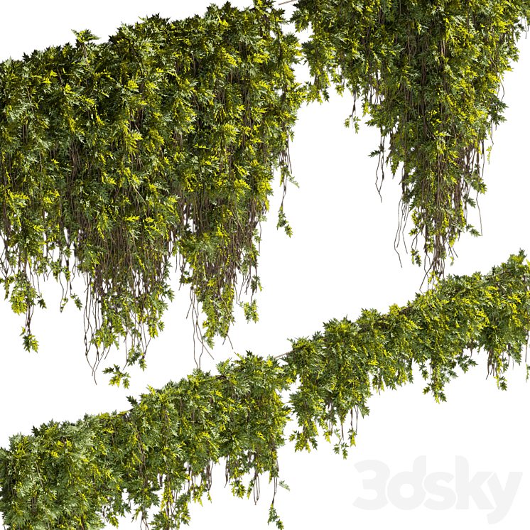 Collection plant vol 425 3DS Max
